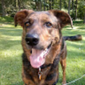 Meet your Posher, Gregory